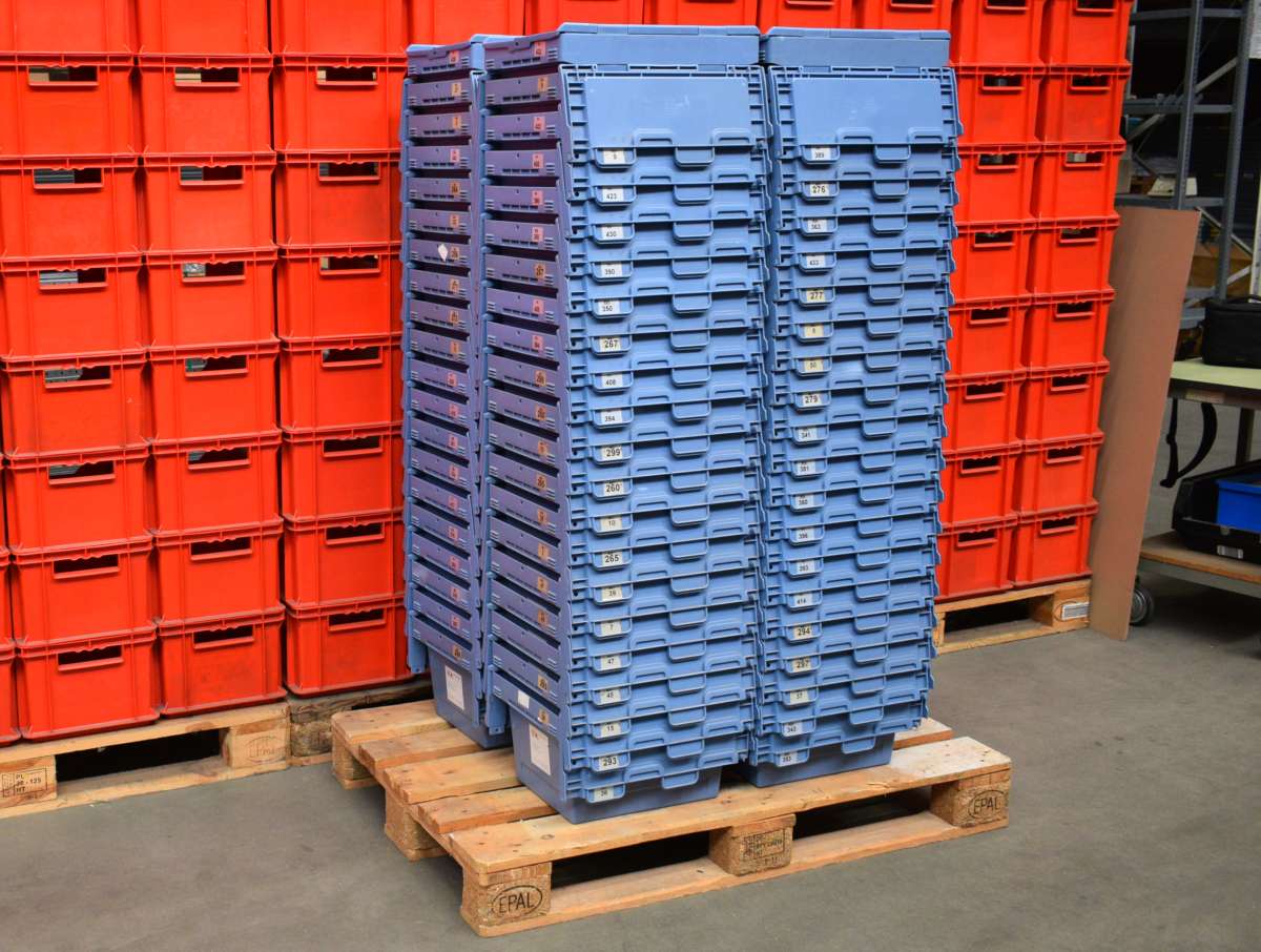 trockenblume depot Sanfordii Menge:2er Set