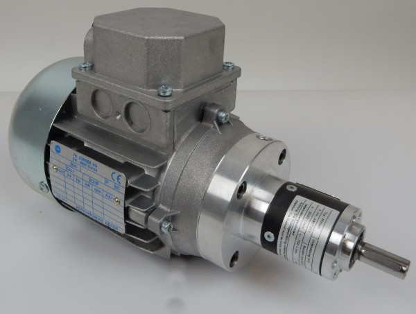 Zürrer Getriebemotor IEC 34-1 Elektromotor Asynchronmotor Drehstrommotor