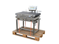 Bizerba Förderband inkl. Neigungswaage Förderstrecke Wiegemodul Förderstrecke Bizerba Förderband inkl. Neigungswaage Förderstrecke Wiegemodul Förderstrecke